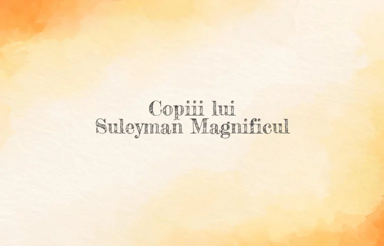 copiii lui suleyman magnificul