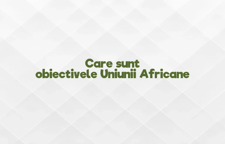 uniunea africana obiective