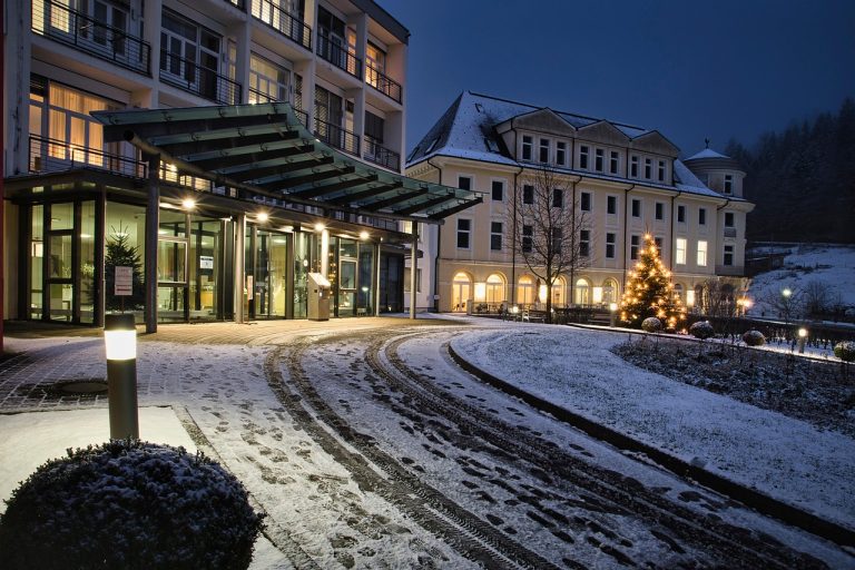 hoteluri sau hotele
